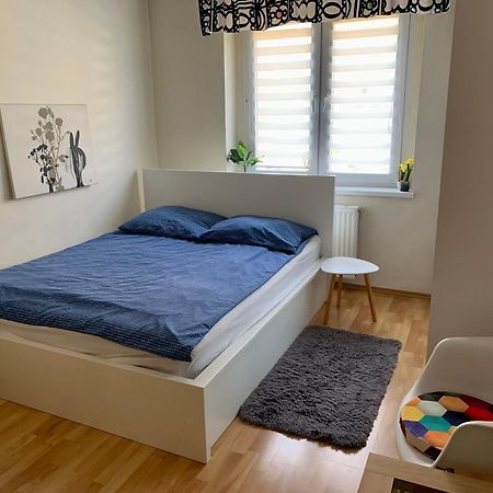 Apartament Joanna Parter Blisko Onkologii I Strefy Ekonomicznej Gliwice Dış mekan fotoğraf
