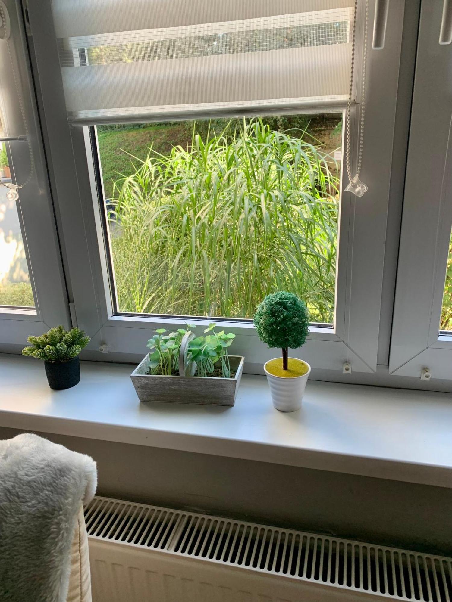 Apartament Joanna Parter Blisko Onkologii I Strefy Ekonomicznej Gliwice Dış mekan fotoğraf